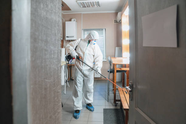 Mold Documentation for Insurance Claims in Savannah, TX